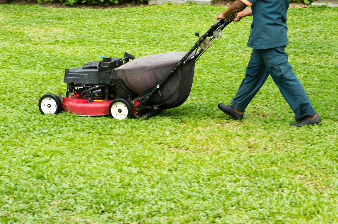 professional residential lawn care service 